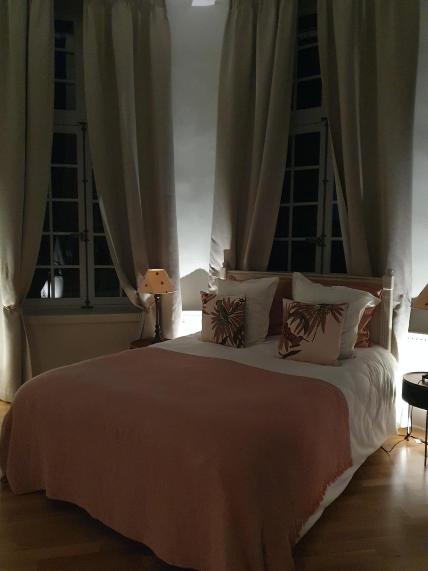 Chateau Du Bois De La Noe Bouaye Bagian luar foto