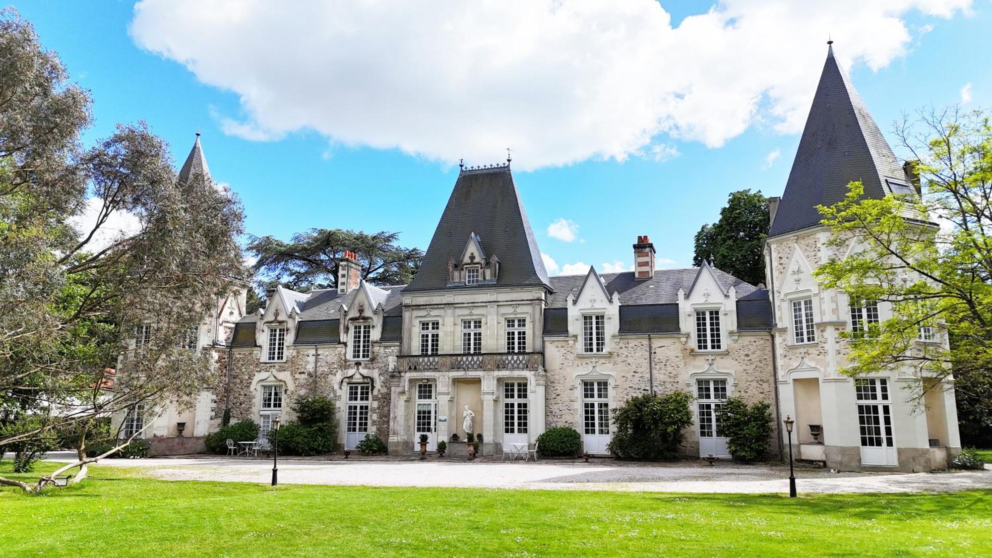 Chateau Du Bois De La Noe Bouaye Bagian luar foto
