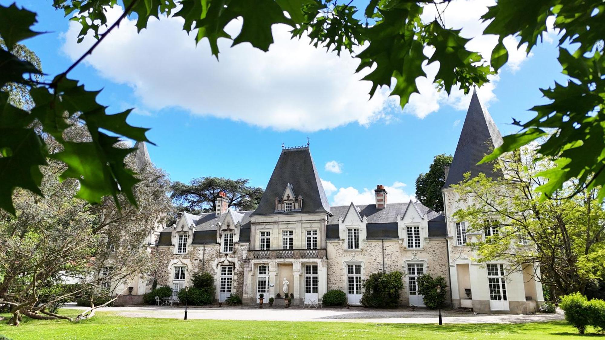 Chateau Du Bois De La Noe Bouaye Bagian luar foto