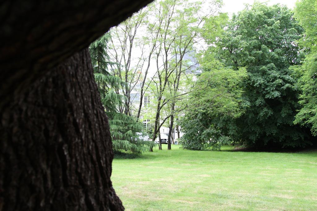 Chateau Du Bois De La Noe Bouaye Bagian luar foto