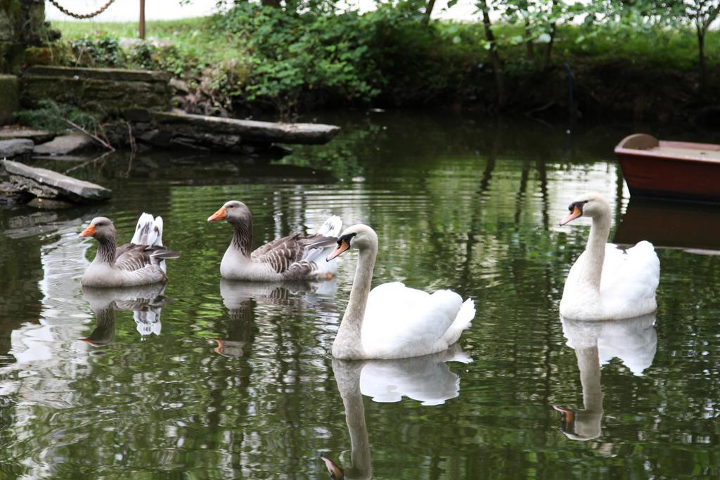 Chateau Du Bois De La Noe Bouaye Bagian luar foto