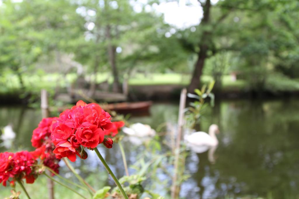 Chateau Du Bois De La Noe Bouaye Bagian luar foto